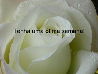 Tenha uma ótima semana! 