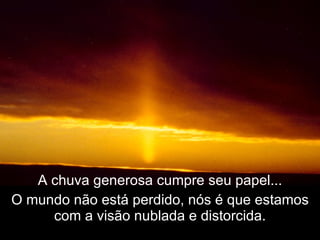 A chuva generosa cumpre seu papel... O mundo não está perdido, nós é que estamos com a visão nublada e distorcida. 