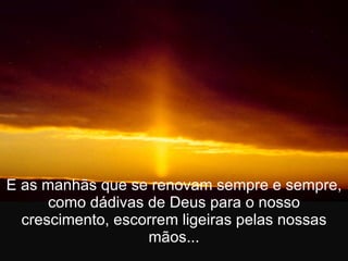 E as manhãs que se renovam sempre e sempre, como dádivas de Deus para o nosso crescimento, escorrem ligeiras pelas nossas mãos... 