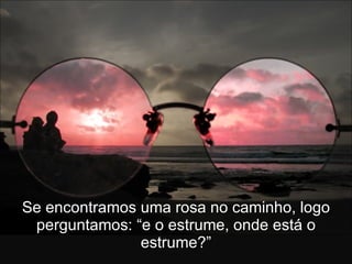 Se encontramos uma rosa no caminho, logo perguntamos: “e o estrume, onde está o estrume?” 