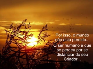Por isso, o mundo não está perdido... O ser humano é que se perdeu por se distanciar do seu Criador... 
