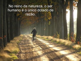 No reino da natureza, o ser humano é o único dotado de razão. 
