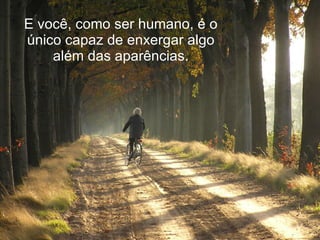 E você, como ser humano, é o único capaz de enxergar algo além das aparências. 