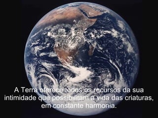 A Terra oferece todos os recursos da sua intimidade que possibilitam a vida das criaturas, em constante harmonia. 