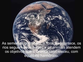 As sementes germinam, a floração acontece, os rios seguem seus cursos e os animais atendem os objetivos que o Criador estabeleceu, com equilíbrio harmônico. 