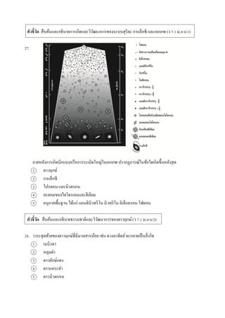 ตัวชี้วัด สืบค้นและอธิบำยกำรเกิดและวิวัฒนำกำรของระบบสุริยะ กำแล็กซี และเอกภพ (ว 7.1 ม.4-6/1)
27.
ภำยหลังกำรเกิดบิกแบงหรือกำรระเบิดใหญ่ในเอกภพ ปรำกฏกำรณ์ในข้อใดเกิดขึ้นหลังสุด
1 ดำวฤกษ์
2 กำแล็กซี
3 โปรตอน และนิวตรอน
4 อะตอมของไฮโดรเจนและฮีเลียม
5 อนุภำคพื้นฐำน ได้แก่ แอนตินิวทริโน นิวทริโน อิเล็กตรอน โฟตอน
ตัวชี้วัด สืบค้นและอธิบำยธรรมชำติและวิวัฒนำกำรของดำวฤกษ์(ว 7.1 ม.4-6/2)
28. วำระสุดท้ำยของดำวฤกษ์ที่มีมวลสำรน้อย เช่น ดวงอำทิตย์จะกลำยเป็นสิ่งใด
1 เนบิวลำ
2 หลุมดำ
3 ดำวยักษ์แดง
4 ดำวแคระดำ
5 ดำวนิวตรอน
 