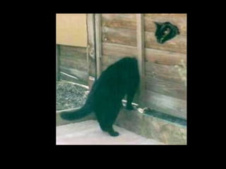 O ângulo perfeito da foto