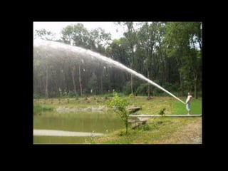 O ângulo perfeito da foto