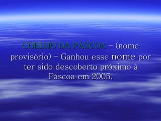 COELHO DA PÁSCOA  – (nome provisório) – Ganhou esse  nome  por ter sido descoberto próximo à Páscoa em 2005. 