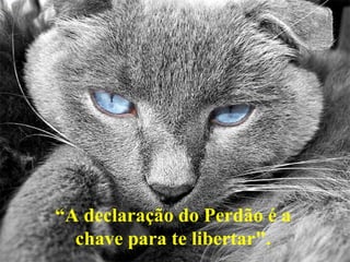 “A declaração do Perdão é a
  chave para te libertar".
 