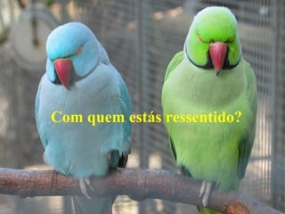 Com quem estás ressentido?
 