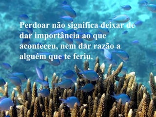 Perdoar não significa deixar de
dar importância ao que
aconteceu, nem dar razão a
alguém que te feriu.
 