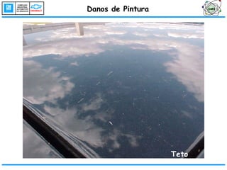 Danos de Pintura Teto GMS 