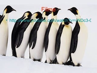 Filme http://www.youtube.com/watch?v=vNDc3-0gkew 