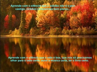 Aprende com o silêncio que a solidão não é o pior castigo, existem companhias bem piores... Aprende com o silêncio que a vida é boa, que nós só precisamos olhar para o lado certo, ouvir a música certa, ler o livro certo.  
