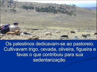 Os palestinos dedicavam-se ao pastoreio. Cultivavam trigo, cevada, oliveira, figueira e favas o que contribuiu para sua sedentarização . 