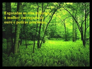 Esgotados os oito minutos, a mulher carregada de ouro e pedras preciosas,  