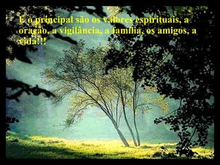 E o principal são os valores espirituais, a oração, a vigilância, a família, os amigos, a vida!!!  