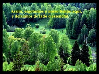 Assim, esgotamos o nosso tempo aqui, e deixamos de lado o essencial : 