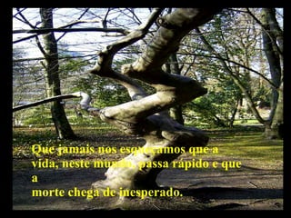 Que jamais nos esqueçamos que a vida, neste mundo, passa rápido e que a morte chega de inesperado. 