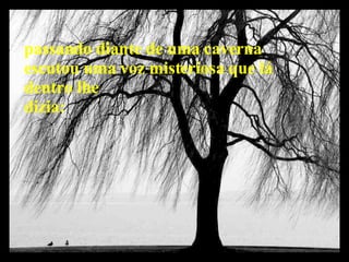 passando diante de uma caverna escutou uma voz misteriosa que lá  dentro lhe dizia: 