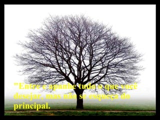 "Entre e apanhe tudo o que você desejar, mas não se esqueça do principal.  