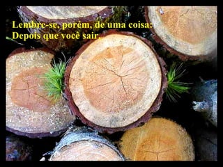 Lembre-se, porém, de uma coisa: Depois que você sair,   