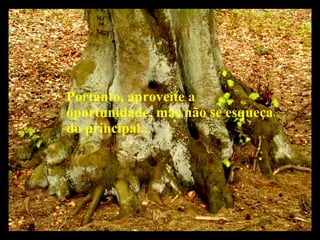 Portanto, aproveite a oportunidade, mas não se esqueça do principal... 