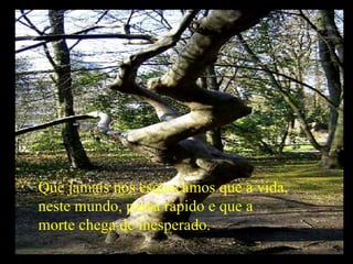 Que jamais nos esqueçamos que a vida, neste mundo, passa rápido e que a morte chega de inesperado. 