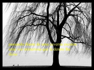 passando diante de uma caverna escutou uma voz misteriosa que lá dentro lhe dizia: 