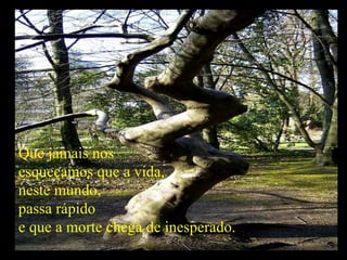 Que jamais nos  esqueçamos que a vida, neste mundo,  passa rápido e que a morte chega de inesperado. 