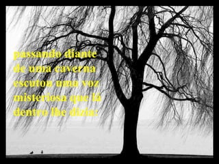 passando diante  de uma caverna  escutou uma voz  misteriosa que lá dentro lhe dizia: 