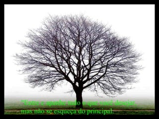 "Entre e apanhe tudo o que você desejar, mas não se esqueça do principal.  