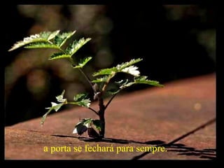 a porta se fechará para sempre.   