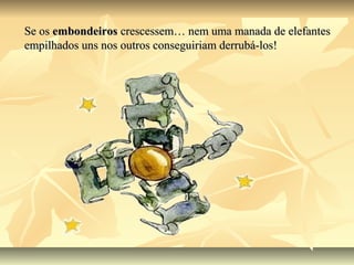 Se os embondeiros crescessem… nem uma manada de elefantes
empilhados uns nos outros conseguiriam derrubá-los!
 