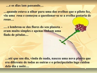 …e os dias iam passando…
…quando estava a olhar para uma das ovelhas que o piloto fez,
viu uma rosa e começou a questionar-se se a ovelha gostaria de
rosas…

… e lembrou-se das flores do seu planeta –
eram muito simples e apenas tinham uma
fiada de pétalas…




 …até que um dia, vinda do nada, nasceu uma nova planta que
 era diferente de todas as outras e o principezinho logo cuidou
 dela dia e noite…
 
