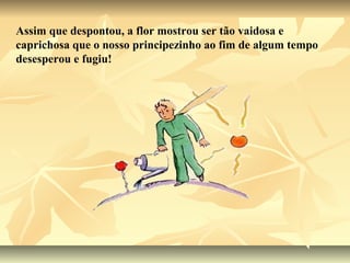Assim que despontou, a flor mostrou ser tão vaidosa e
caprichosa que o nosso principezinho ao fim de algum tempo
desesperou e fugiu!
 