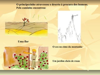 O principezinho atravessou o deserto à procura dos homens.
Pelo caminho encontrou:




 Uma flor
                             O eco no cimo da montanha




                             Um jardim cheio de rosas
 