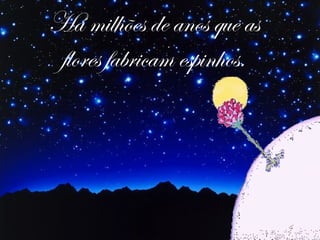 Há milhões de anos que as flores fabricam espinhos. 