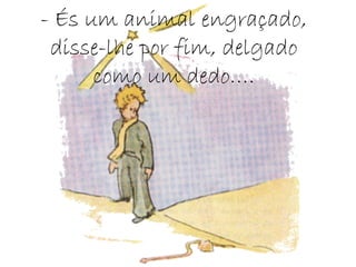- És um animal engraçado, disse-lhe por fim, delgado como um dedo…. 