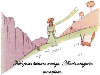 Não posso brincar contigo. Ainda ninguém me cativou . 