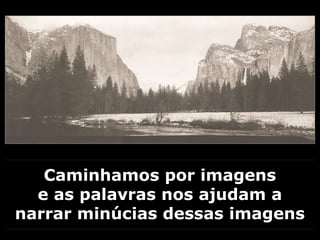 Caminhamos por imagens
e as palavras nos ajudam a
narrar minúcias dessas imagens
 