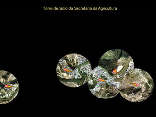 O projeto UCA em Piraí