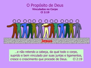 O Propósito de Deus Vinculados no Corpo Cl 2:19 ... e não retendo a cabeça, da qual todo o corpo, suprido e bem vinculado por suas juntas e ligamentos, cresce o crescimento que procede de Deus.  Cl 2:19 Jesus 