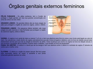Órgãos genitais externos femininos CLITÓRIS  - O clitóris é o órgão do prazer sexual. Ele fica quase todo escondido dentro do corpo, e somente a sua ponta (chamada glande) aparece na vulva. VAGINA -  A vagina é um canal de mais ou menos 7 a 9 cm, e tem sua abertura para fora do corpo e seu fundo está ligado ao colo do útero. Se colocarmos o dedo dentro da vagina, perceberemos que ela é toda enrugada e elástica, pois na hora da relação sexual essa elasticidade servirá para que ela se adapte ao tamanho do pênis. Outra mudança que ocorre na vagina na hora da relação sexual, é que durante a excitação ela se lubrifica, ficando assim molhada, o que facilita na hora da penetração. CANAL DA URETRA -  A uretra é o canal que sai da bexiga e tem sua abertura entre o clitóris e a entrada da vagina. É através da uretra que a mulher urina .                                                                                                                 PÊLOS PUBIANOS -  Os pêlos pubianos, tem a função de proteger o órgão genital, por isso sua grande concentração em cima da vulva e ao seu redor. GRANDES LÁBIOS -  Os grandes lábios são as duas pregas de pele que protegem a região do canal da vagina, uretra e clitóris. PEQUENOS LÁBIOS -  Os pequenos lábios também são duas pregas de pele menores e mais fechadas que protegem a região do canal da vagina, uretra e clitóris. 