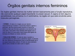 Órgãos genitais internos femininos Os órgãos genitais internos da mulher servem basicamente para a função reprodutiva, não exercendo qualquer papel importante no prazer sexual. A vagina só tem alguma sensibilidade nos primeiros 2 a 3 centímetros, na região em que está envolvida pelos músculos perivaginais. ÚTERO -  O útero é o órgão oco por dentro, responsável por receber o óvulo fecundado e gerar a gravidez; ele fica posicionado próximo à bacia da mulher e tem seu formato parecido e do tamanho de uma pêra. Sua parte mais estreita está ligada com o colo do útero e a sua parte mais longa está ligada às trompas de falópio ou tubas uterinas.  COLO DO ÚTERO -  O colo do útero mantém a comunicação do útero com o canal da vagina, é através de uma abertura (buraquinho) que a menstruação sai e os espermatozóides entram. O colo do útero também serve como divisão do útero com a vagina 