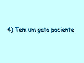4) Tem um gato paciente   