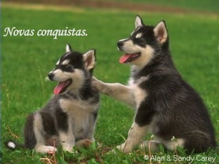 Novas conquistas. 