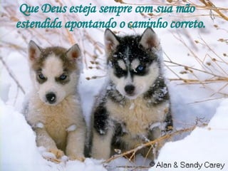 Que Deus esteja sempre com sua mão estendida apontando o caminho correto. 