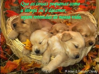 Que as coisas pequenas como  a inveja ou o desamor,  sejam retiradas de nossa vida. 